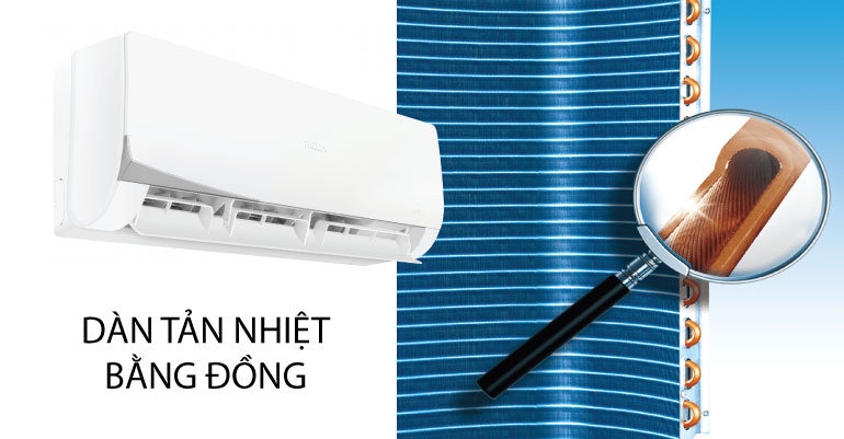 dan-tan-nhiet-bang-dong