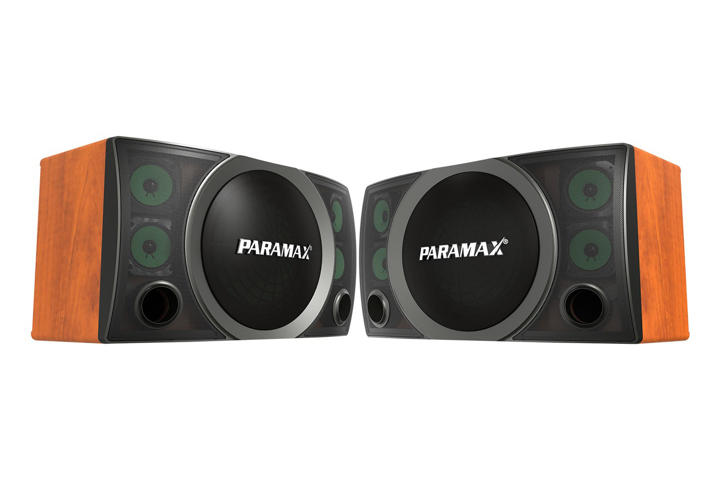 Loa Karaoke Paramax Bass 30cm SC-3500