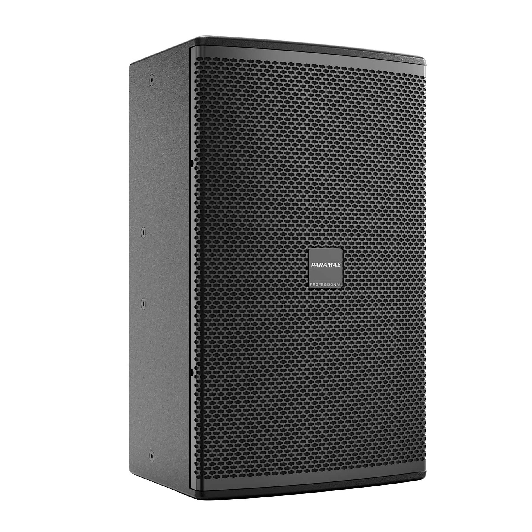 Loa full Paramax Pro V30