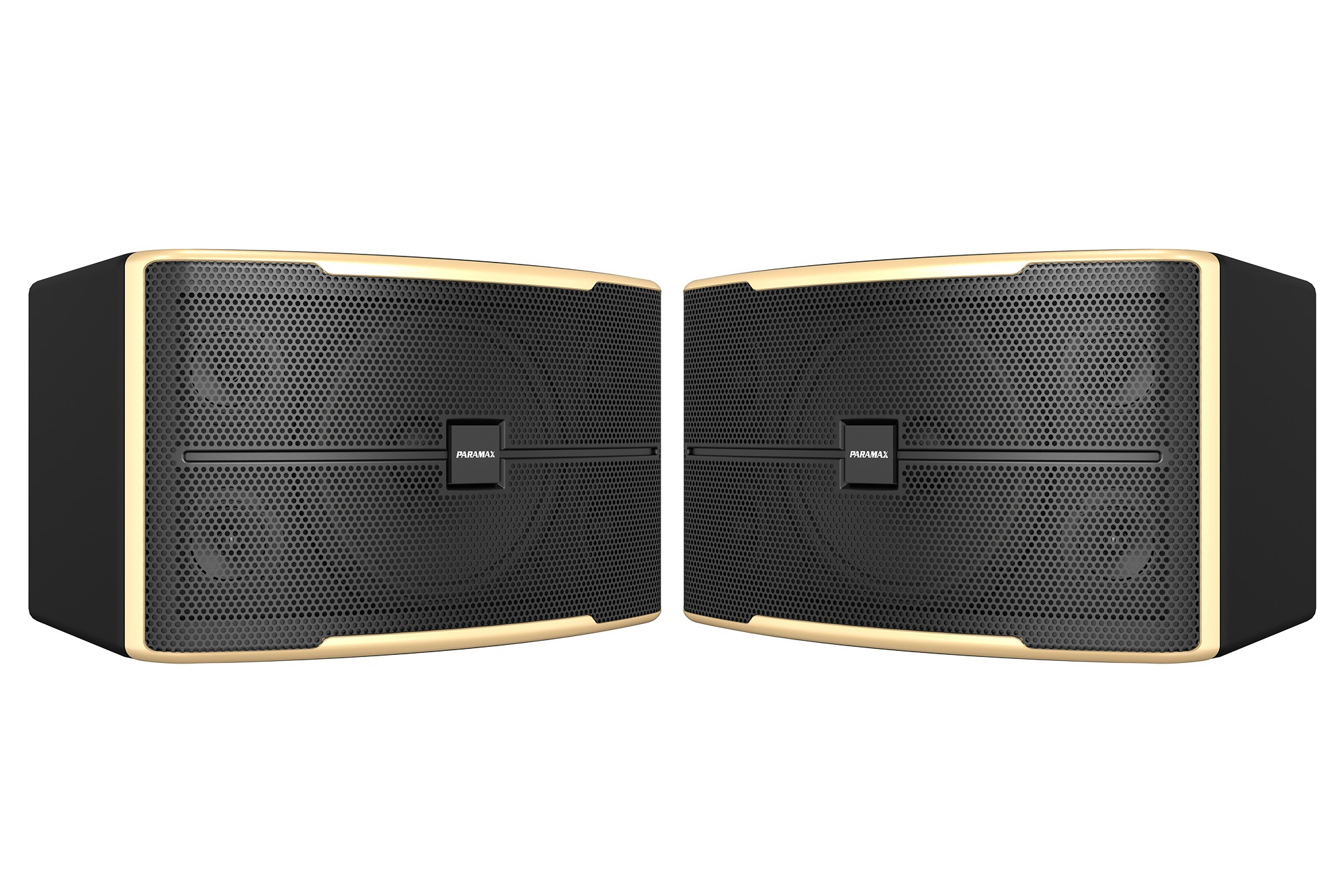 Loa Karaoke Paramax Z-2500, bass 30.5cm, công suất 250W
