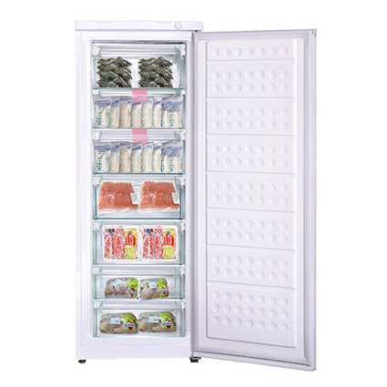 Tủ đông Hòa Phát dạng đứng HUF-450SR1