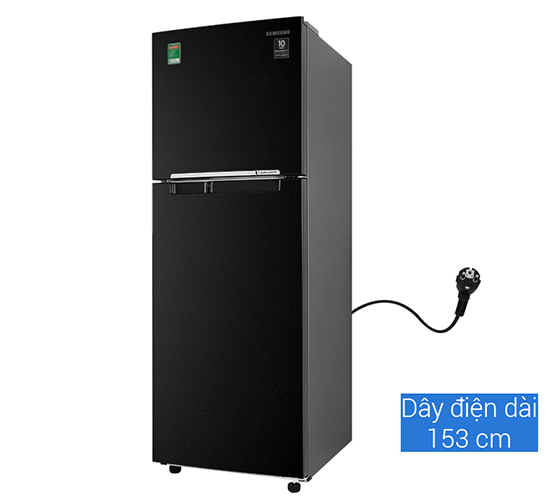Tủ lạnh Samsung inverter 256 lít RT25M4032BU/SV