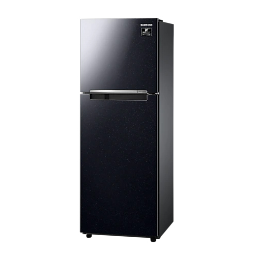 Tủ lạnh Samsung inverter 236L RT22M4032BU/SV