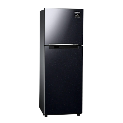 Tủ lạnh Samsung inverter 236L RT22M4032BU/SV