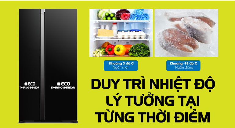 cam-bien-kep-eco
